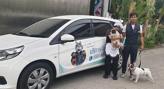 บริการรถรับส่งสุนัข VIP