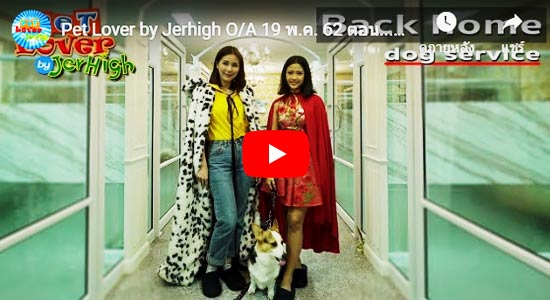 Back Home Dog Service by Jerhigh
