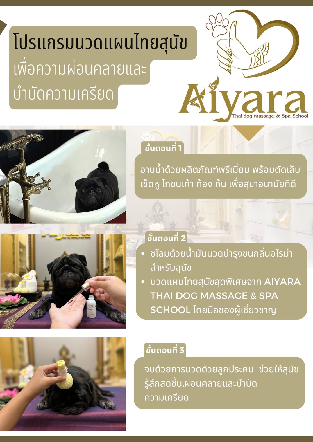 สปาสุนัข